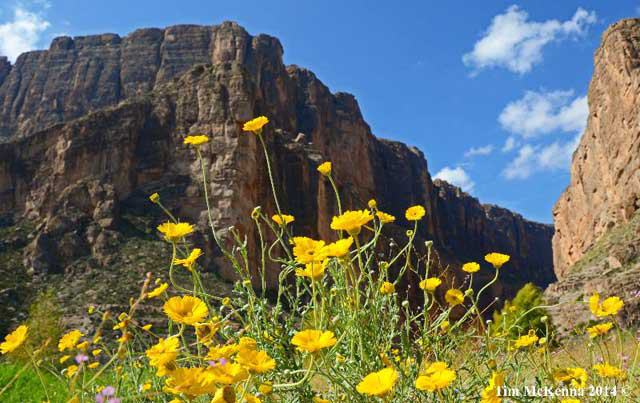 Visit Big Bend